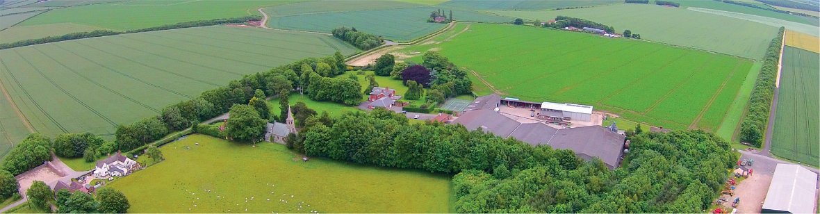 Aerial view of field